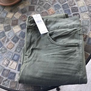 American Eagle tomgirl pant
